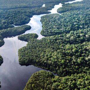 felakete geri sayim dunyanin en buyuk akcigeri kuruyor DT9ZgSu1