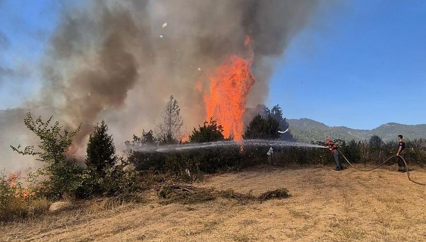 bursada orman yangini mudahale suruyor rLXjB6g7