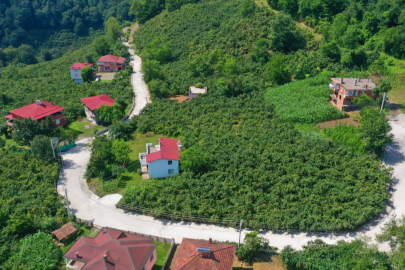Ordu da kirsal mahallelere beton yol konforu 1784724479 819 small